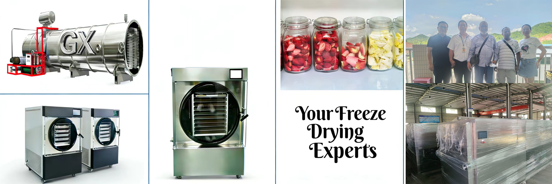 jakość Domowa liofilizator fabryka