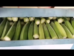 suszarka próżniowo-zamrażalniająca domowa