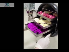 Domek Suszarka do zamrażania Laboratorium Suszarka do zamrażania