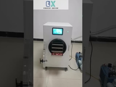 Doświadcz korzyści płynących z domowej suszarki do zamrażania żywności