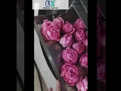 Przemysłowe suszarki lodowe do żywności