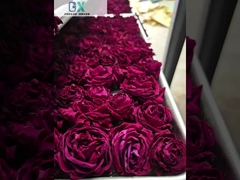 Chłodzenie powietrzem Suszarka do zamrażania warzyw o pojemności 100 kg/partię i pompa próżniowa Baosi lub Bitzer