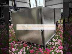 Wyroby spożywcze - Lyofilizator przemysłowy do przetwarzania owoców i warzyw