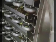 Przesuszacz do zamrażania w laboratorium z komorą 304 SS i próżnią Bosch - precyzyjny liofilizator