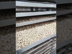 Obejrzyj: Zbudowany z myślą o wytrzymałości: prezentacja procesów przemysłowych liofilizatorów wymagających niewielkiej konserwacji