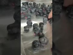 Obejrzyj: Precyzyjne suszenie w liofilizatorze przemysłowym w przypadku produktów luzem o wysokiej wartości