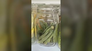 Domowa liofilizatora 25-letnia świeżość