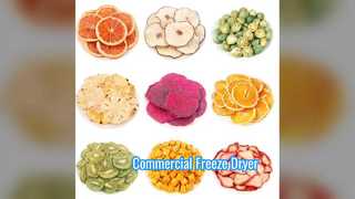 Liofilizator przemysłowy o wadze komercyjnej 100 kg