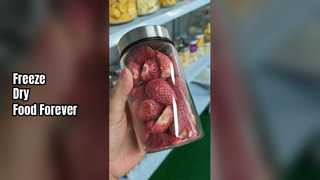 Domowa liofilizatora Zachowaj świeżość żywności