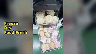 Domowa liofilizatora Zachowaj Foo