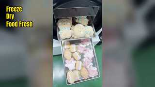 Domowa liofilizatora Zachowaj świeżość żywności