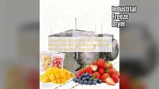 Przemysłowa liofilizator: konserwacja dużej objętości