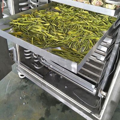 Przemysłowa suszarka lodowa żywności 200 kg/gromadę