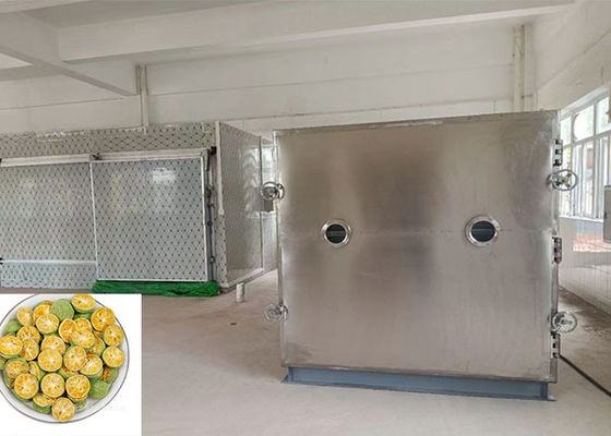 100 kg/gromadę Lyofilizator Lesowo-sucha maszyna z jednostką Bitzer
