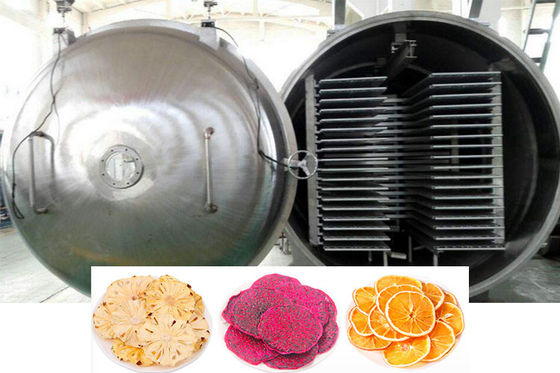 100-200 kg Lyofilizator Suszarka lodowa sterowanie PLC Ogrzewanie elektryczne