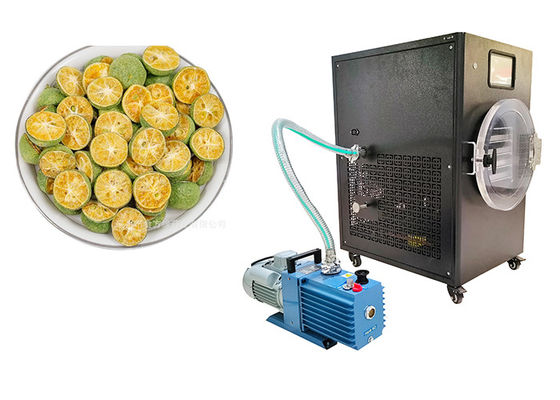 Sterowanie PLC 10kg domowy suszarka do zamrażania -50C do 50C zakres temperatury