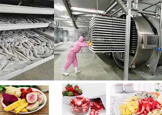 PLC sterowany odkurzacz próżniowy do suszenia żywności 200 kg/partię