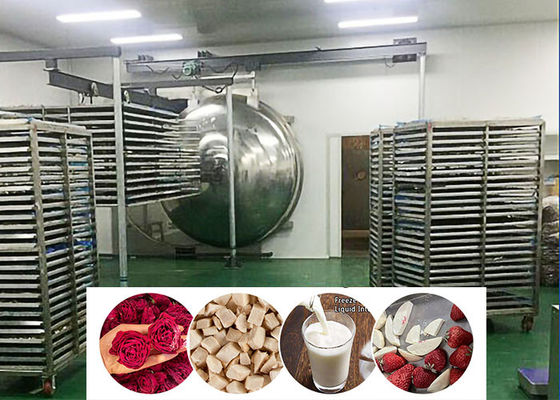 Przemysłowa suszarka do zamrażania żywności próżniowa 200 kg/partię