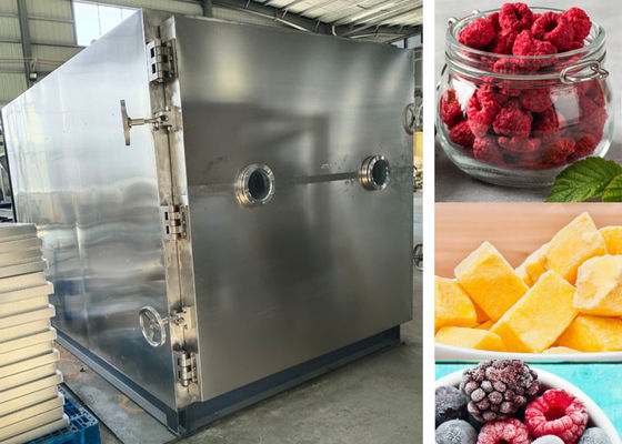 PLC sterowana próżniowa suszarka lodowa Lyofilizator suszarka 200Kg