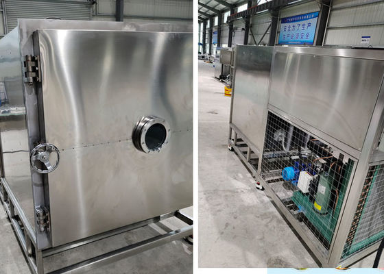 100 kg partii Dy Stayfresh suszarka lodowa z kondensacją -45°C