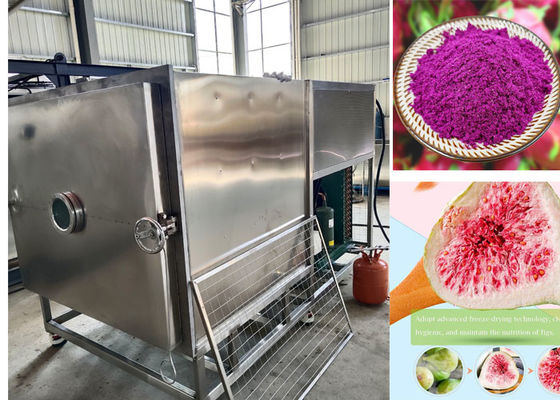 100 kg / partia Stayfresh suszarka lodowa z systemem chłodzenia powietrzem