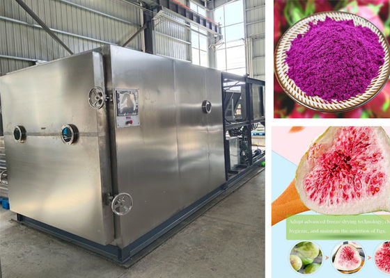 100 kg PLC sterowane Stayfresh suszarka do szybkiego suszenia