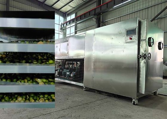 Mocny Bitzer / Leybold System chłodzenia suszarka do mrożenia dla owoców