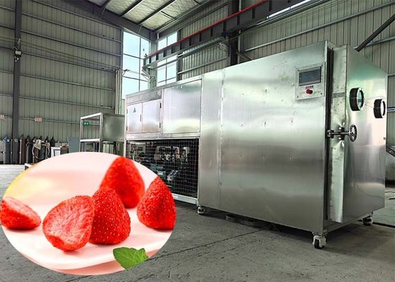 Przemysłowy suszarka liofilizacyjna sterowana PLC dla przemysłu farmaceutycznego