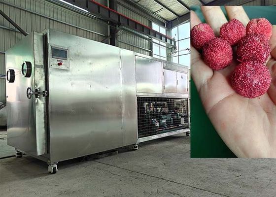 PLC sterowana próżniowa suszarka lodowa 30-35 kg/partię
