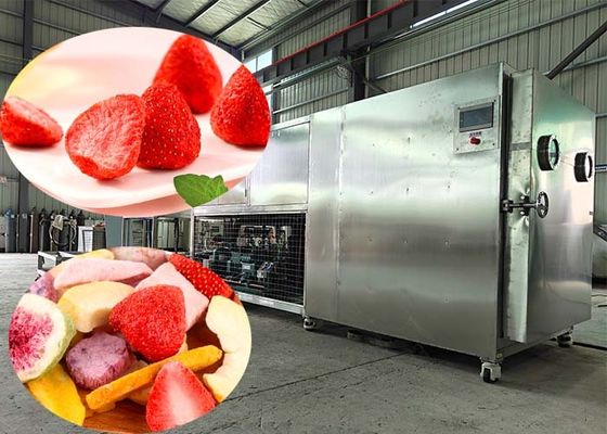 100 kg/gromadę Lyofilizator z sterowaniem PLC