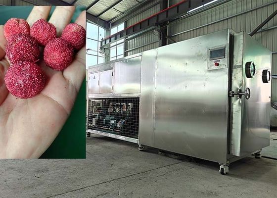 200 kg inteligentna lyofilizator żywności lodowy suszarka