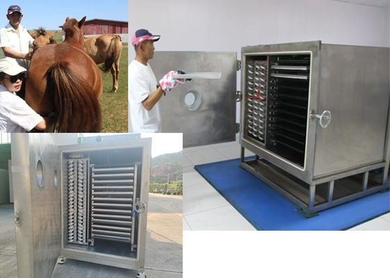 Próżniowa suszarka do grillu warzyw z jednostką chłodniczą