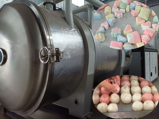 500 kg Przemysłowy suszarka mrożeniowa żywności Liofilizator duży do przetwarzania żywności