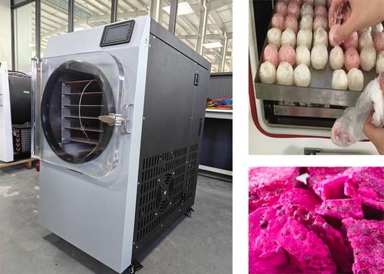 System sterowania PLC Maszyna do suszenia lodowego ze stali nierdzewnej 304 do użytku domowego