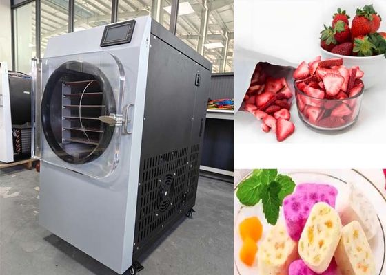 Bitzer System próżniowy Mały domowy suszarka do zamrażania dla przemysłu farmaceutycznego