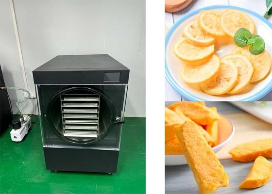 10~20KG  System chłodzenia suszarka do zamrażania do użytku domowego