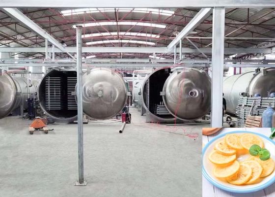 1000 kg pojemności Przemysłowa automatyczna suszarka mrożeniowa do zastosowań spożywczych