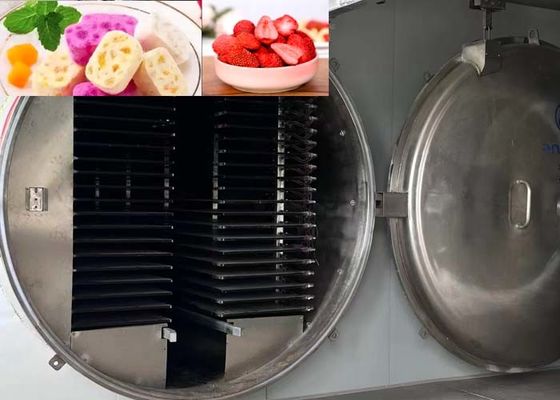 Wysokiej wydajności przemysłowy suszarka lodowa 1000 kg/partię 13 Pa poziom próżni