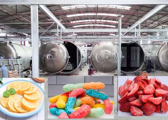Farmaceutyczna 1000Kg próżniowa suszarka lodowa zaawansowana technologia suszenia