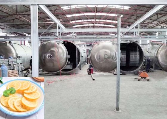 Wielkie przemysłowe suszarki lodowe 1000 kg/partię
