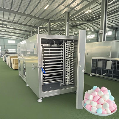 Lyofiler 50kg przemysłowy system suszenia lodowego dla produktów mlecznych