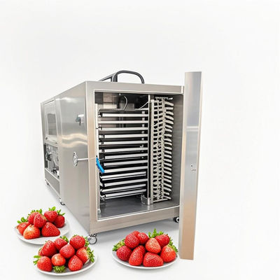 100 kg GMP Freeze Dryer Machine Pharmaceutical Food Grade Lyophilization