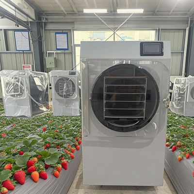 6kg Pilot Freeze Dryer R & D do produkcji małych partii z PLC na ekranie dotykowym
