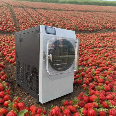 Komercyjny liofilizator ze stali nierdzewnej 304 i pompą Bosch - wysokiej wydajności suszarka lodowa