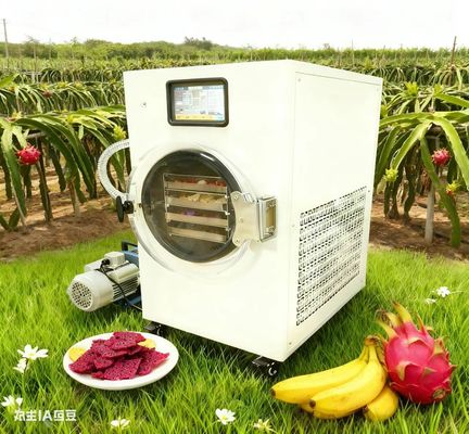 Zbuduj swój magazyn żywności suszarkę do zamrażania dla rodzin Prepper Publiczność docelowa rodziny Bezpieczeństwo