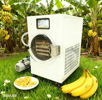 Zdrowe przekąski z łatwością.