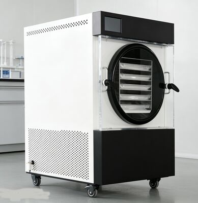 Nasza domowa suszarka do zamrażania pozwala nam zachować rodzinne przepisy, sezonowe dary i masowe mięso za ułamek kosztów.