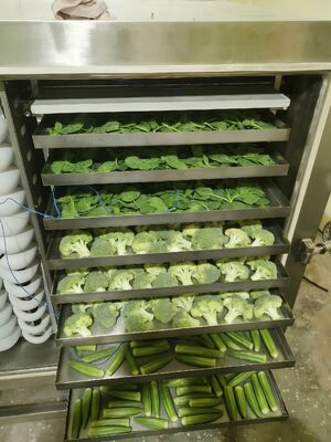 Przemysłowa zamrażarko-suszarka z ogrzewaniem elektrycznym oferująca komorę o wymiarach 12700x2600x3300 mm i czas suszenia od 20 do 24 godzin, idealna do zastosowań przemysłowych