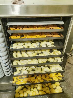 Jednostka chłodnicza suszarka lodowa moc znamionowa 200KW Sprzęt suszenia lodowego dla przemysłu farmaceutycznego spożywczego i chemicznego