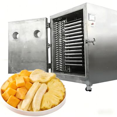 100 kg 200 kg Wielkiej pojemności Lyofilizator Komercyjny suszarka lodowa